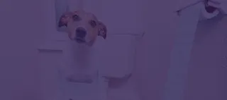 Getting your marketing sh*t together