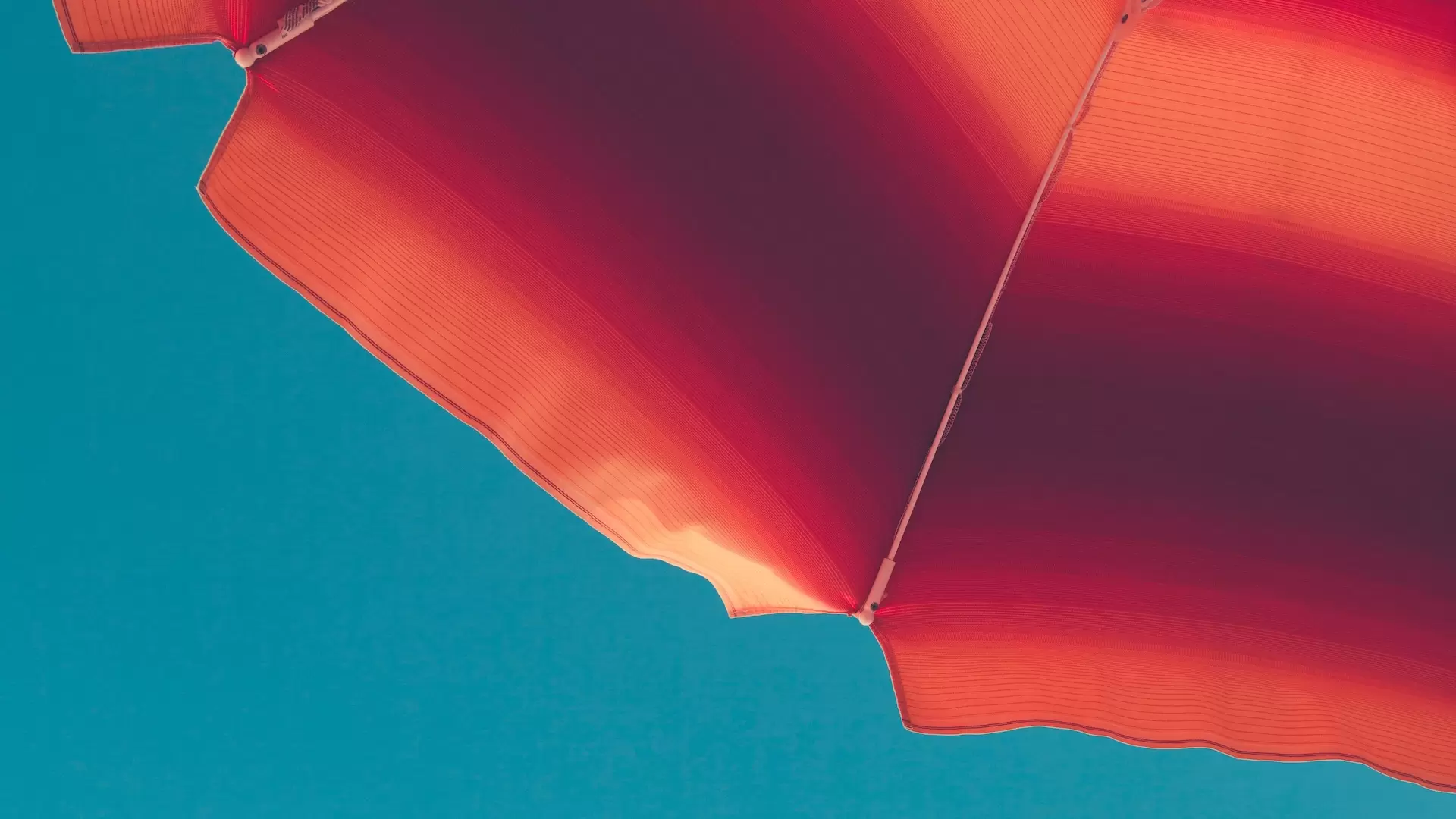 What Falls Under the Marketing Umbrella?