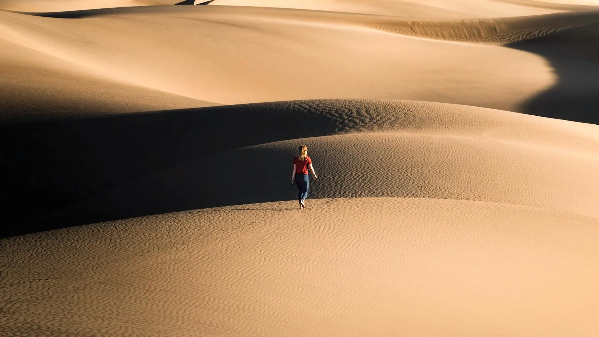 Grow Through the Rough Patch: Marketing Amid a Recession