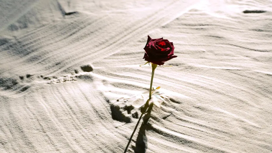 Do It Despite What You Know: Marketing in Hard Times