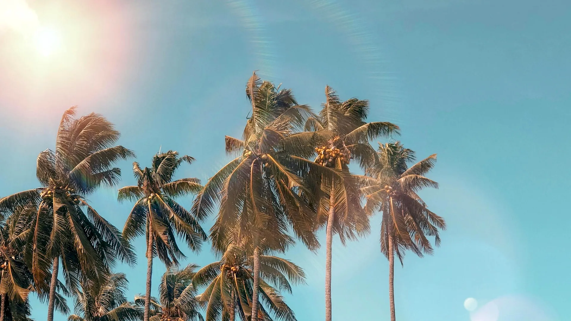 Seasonal Strategy: Take a Summer Vacation From Your Normal Marketing Campaigns