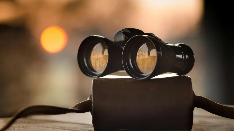 Generative Search and Voice Search: Same But Different