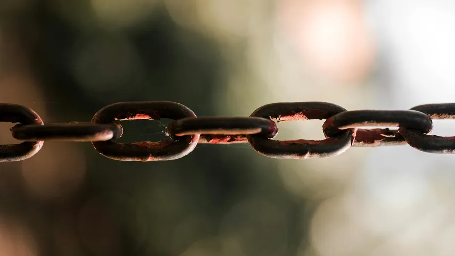 Digital Word of Mouth: A Comprehensive Guide on Backlinks