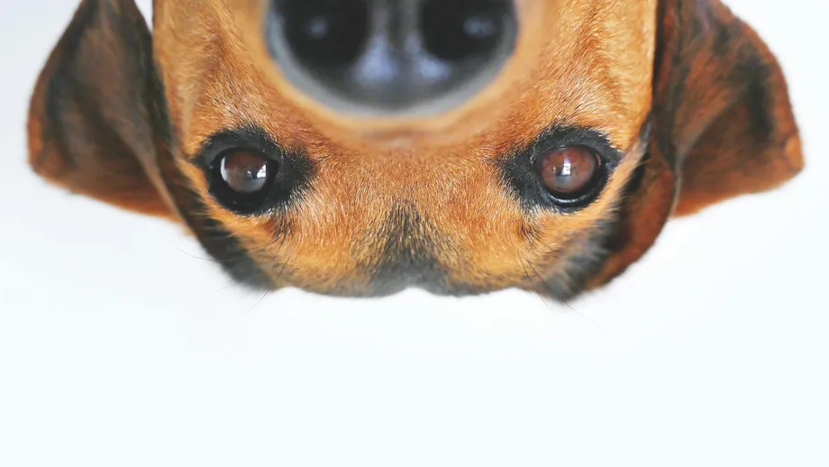 Website Notification Banner Best Practices (With Examples)