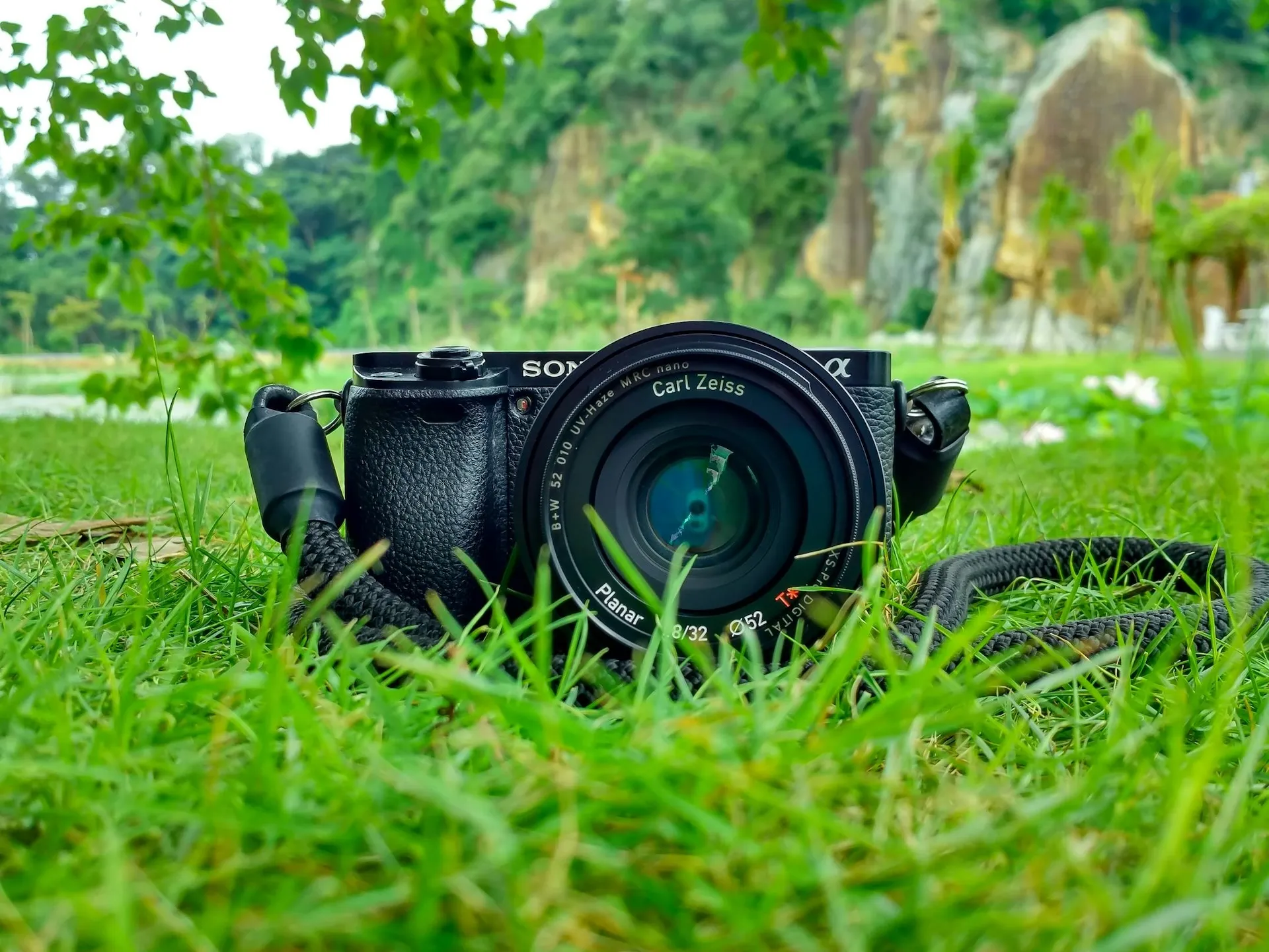 Stock Photos vs. Original Photography: What Should You Use?