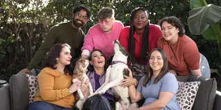 A colorful team sits on a couch with two happy dogs