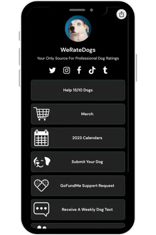 A cell phone displaying a link-in-bio landing page for WeRateDogs