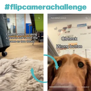 Screenshot of a Flip Camera Challenge featuring a dog