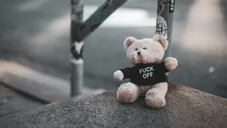 A teddy bear with a swear word on its sweater sits on a sidewalk