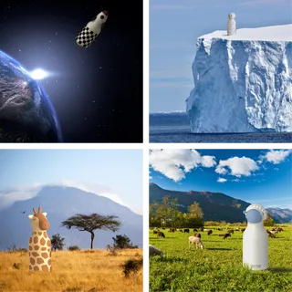 Bestie bottle social collateral designs