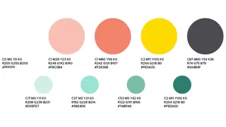 Many colored circles with color codes as part of a brand book